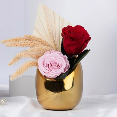 Golden Charm Preserved Rose Duo in Elegant Vase