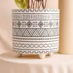 Calathea Plant in Otantik Brown Vase