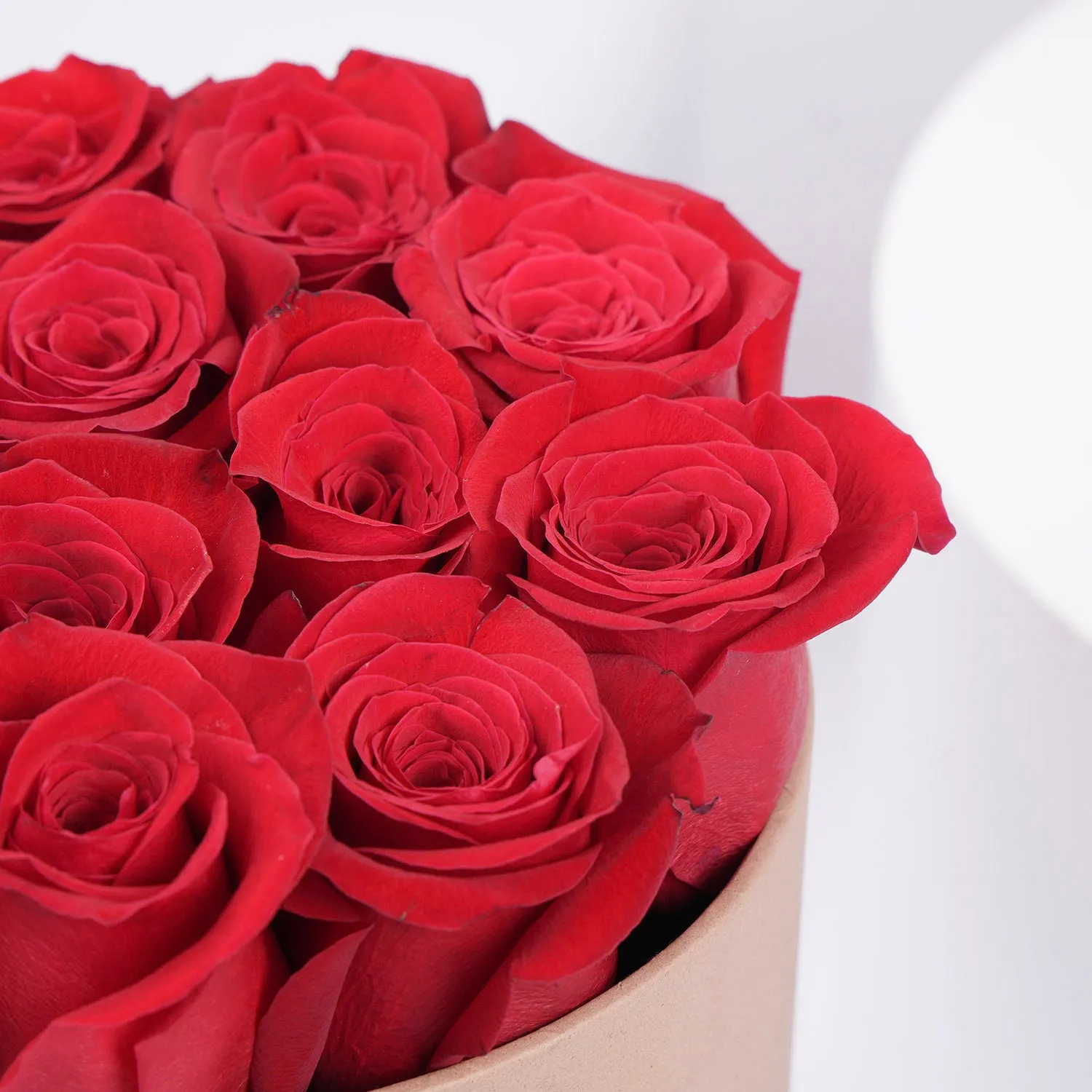 Exquisite Pure Love: 12 Red Roses in Elegant Round Box