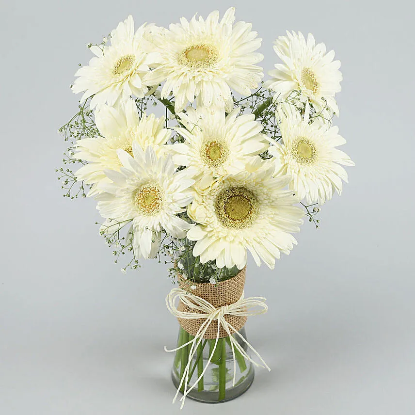 Serene White Gerbera Vase