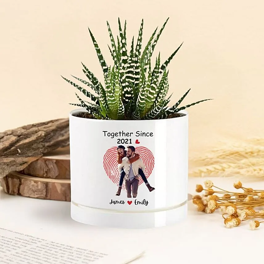 Together Forever Echeveria Plant In A Vase