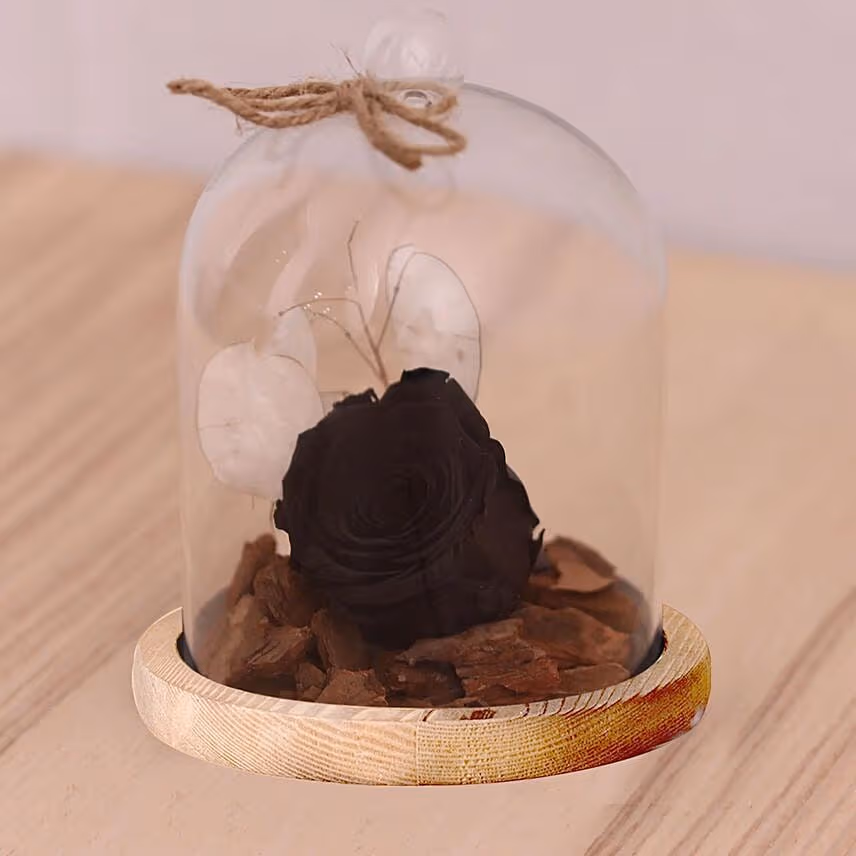 Chocolate Cake & Forever Rose In Glass Dome- Black