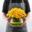 Elegant Arrangement of 15 Yellow Spray Roses in a Fish Bowl Vase