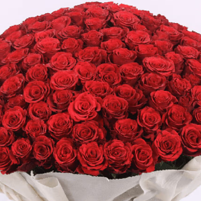 Red Roses Bouquet - 1501 Stems