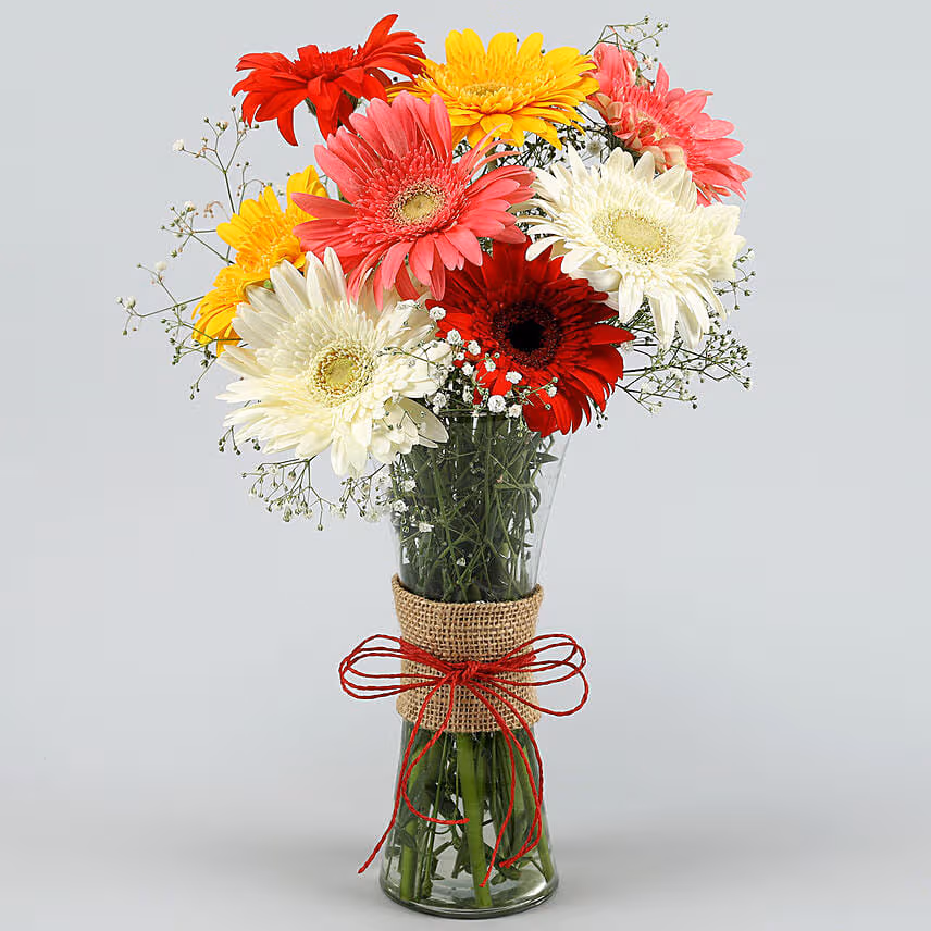 Blooming Mixed Gerbera Vase Arrangement