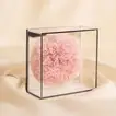 بوكس القرنفل الدائم