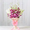 Impressive Orchids Flowers Bunch