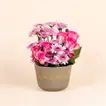 A Bloomed Beginning: Elegant Pink Floral Arrangement - Small