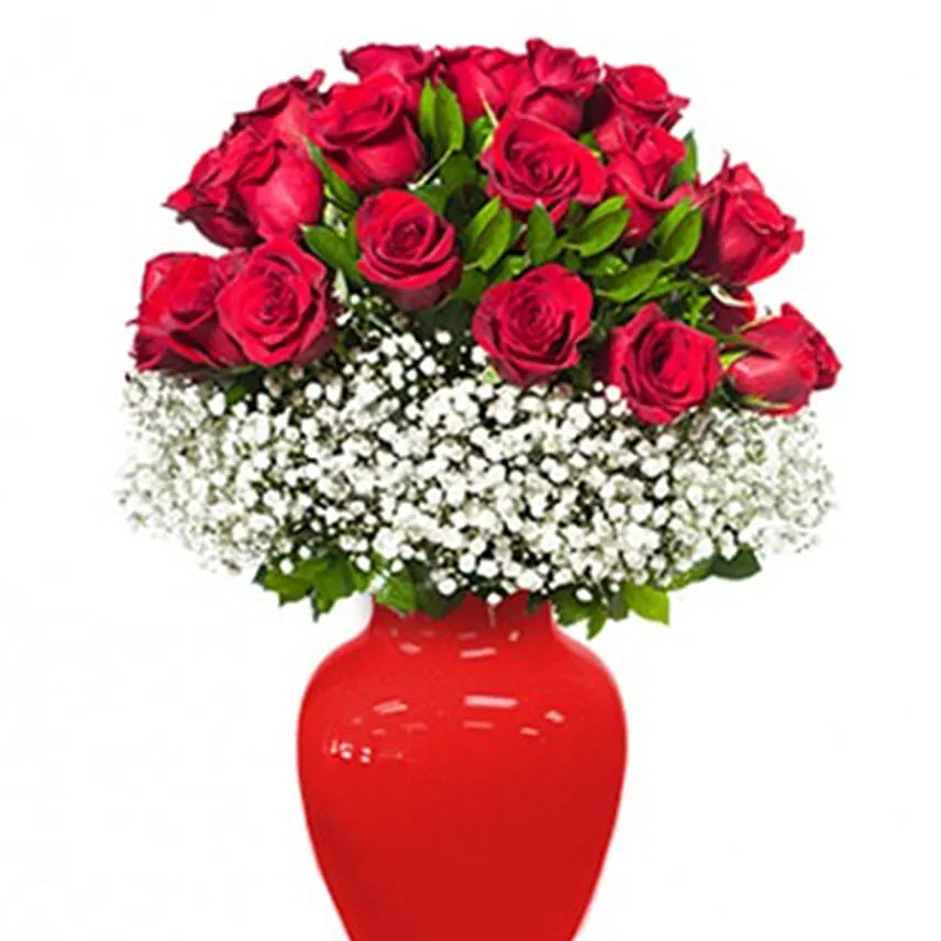 Field of Red Roses