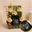 Titan Women's Casual Watch n Rose Garden