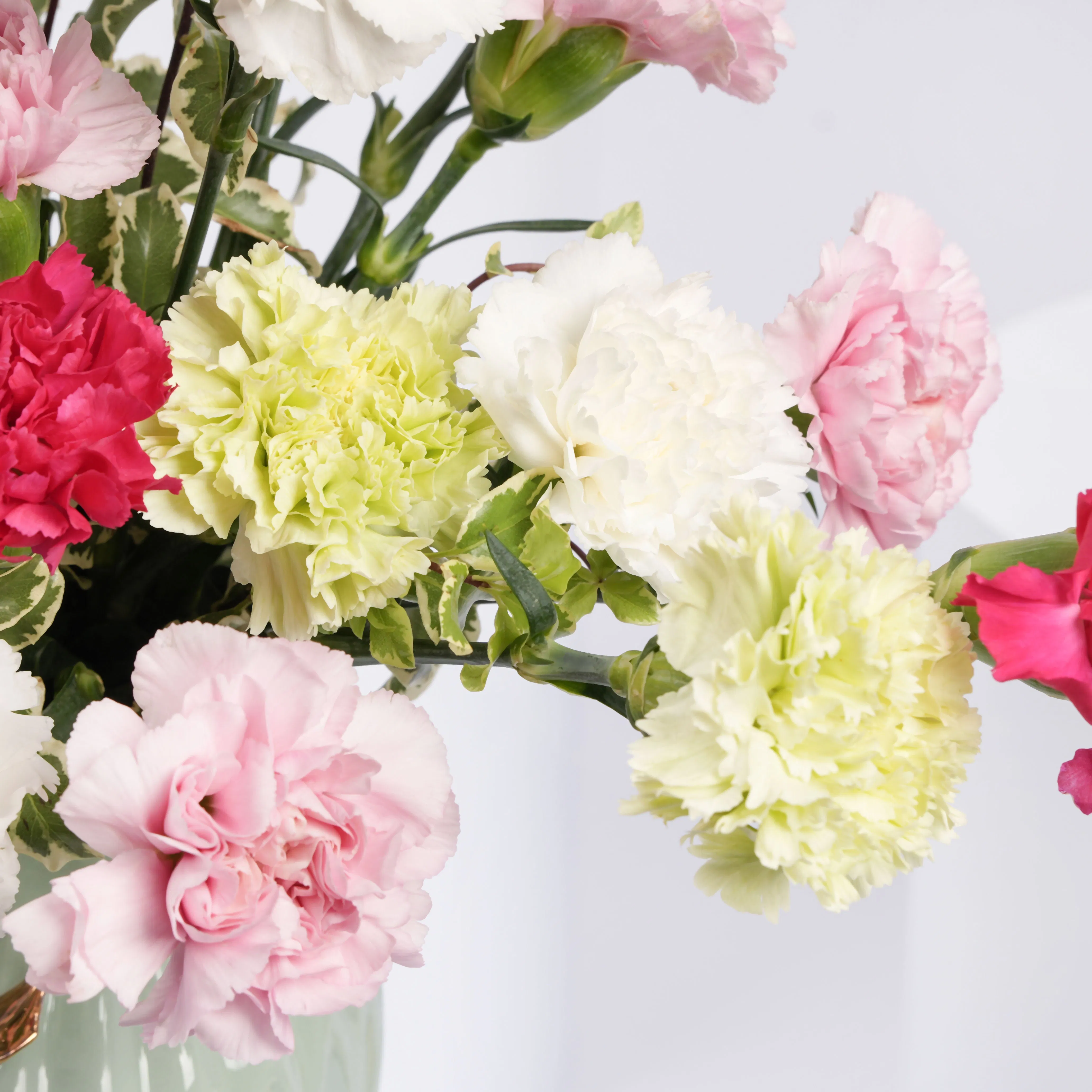 Elegant Carnation Bouquet in a Luxurious Designer Vase