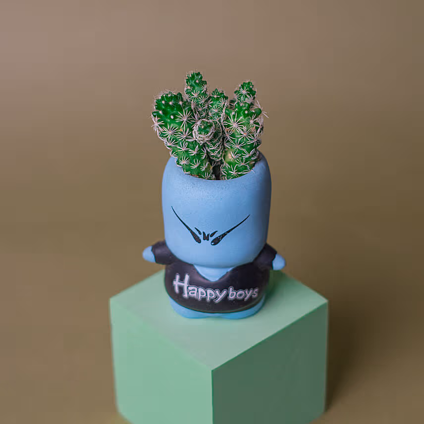 Cactus Quirky Boy Pot
