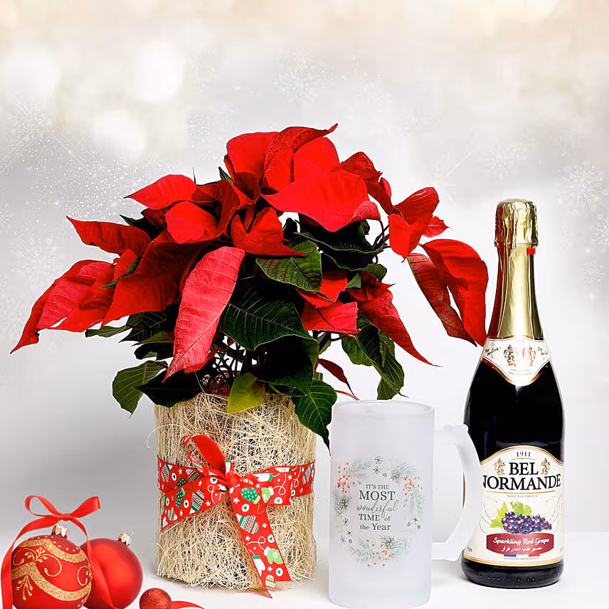 Poinsettia Plant Combo