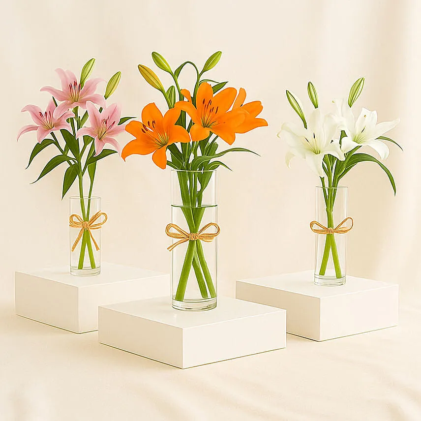 Lilies Beauty Trio