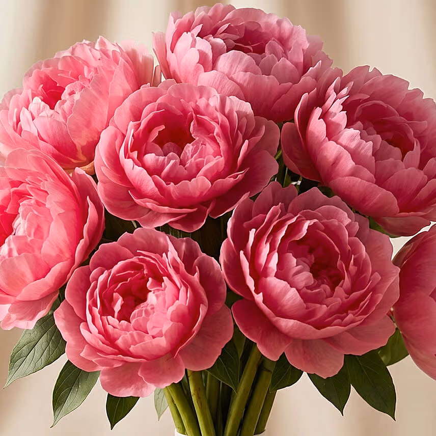 Hand Tied Peonies