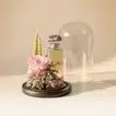 Timeless Pink Rose & Anaab Perfume Gift Set for Mom