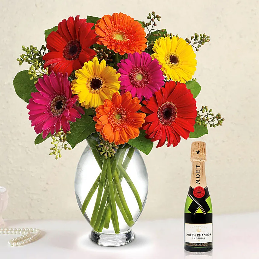 Heavenly Multicoloured Gerberas With Moet Champagne