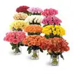 Exquisite Collection: Twelve Unique Bouquets of Roses