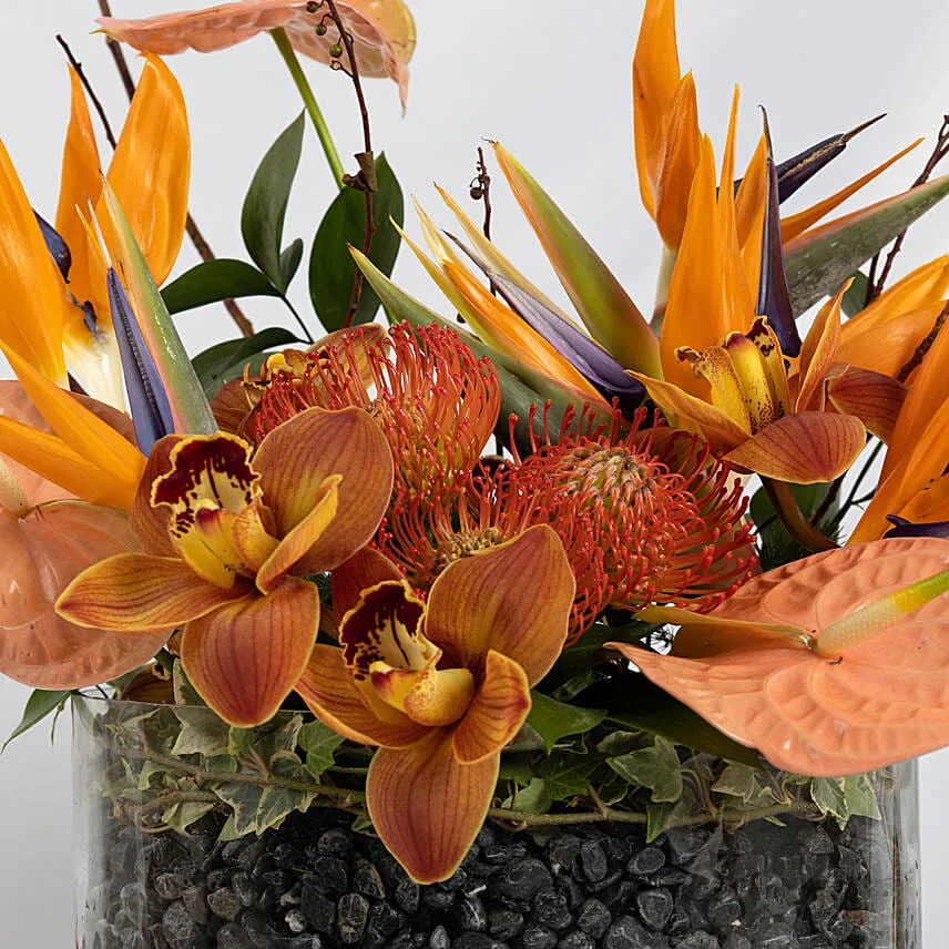 Burst of Flowers Beauty
