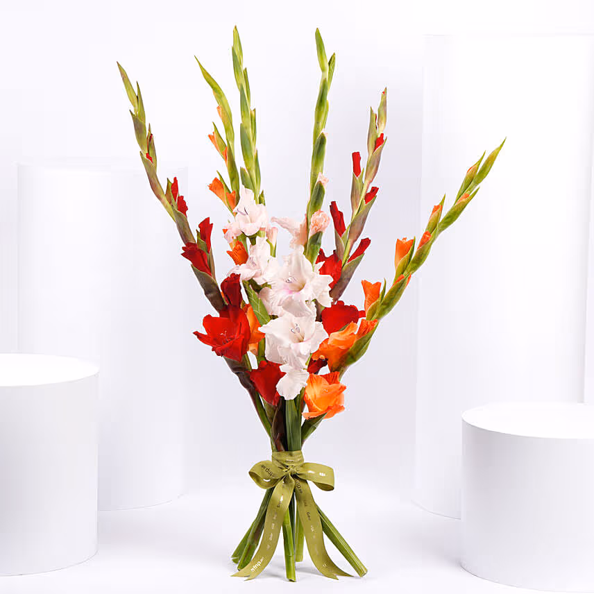 Gladiolus Mix Color Bouquet
