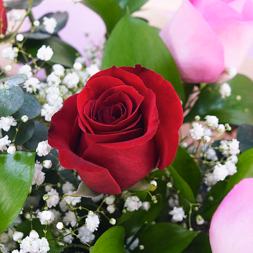 3 Pink & 3 Red Lovely Roses Bouquet