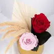 Golden Charm Preserved Rose Duo in Elegant Vase