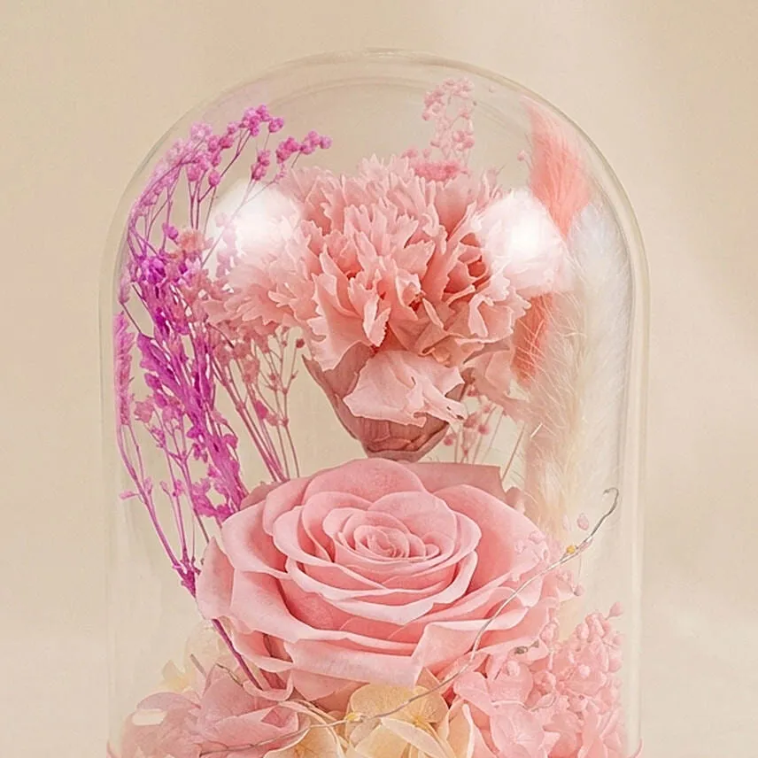 Vday Pink Forever Roses in Dome