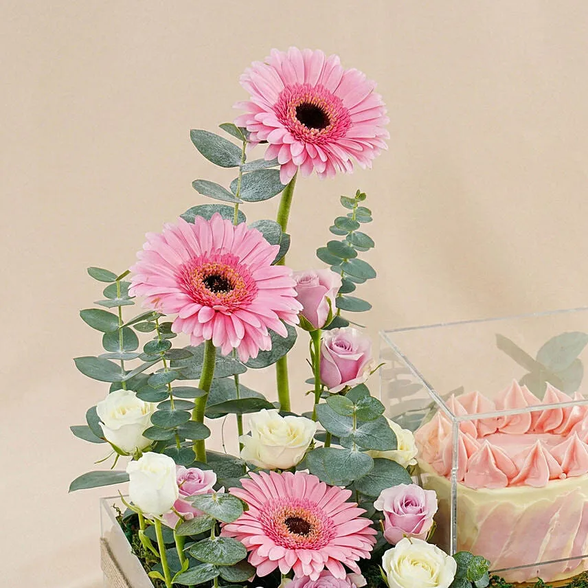 Pink Gerbera & Red Velvet Cake Gift Combo