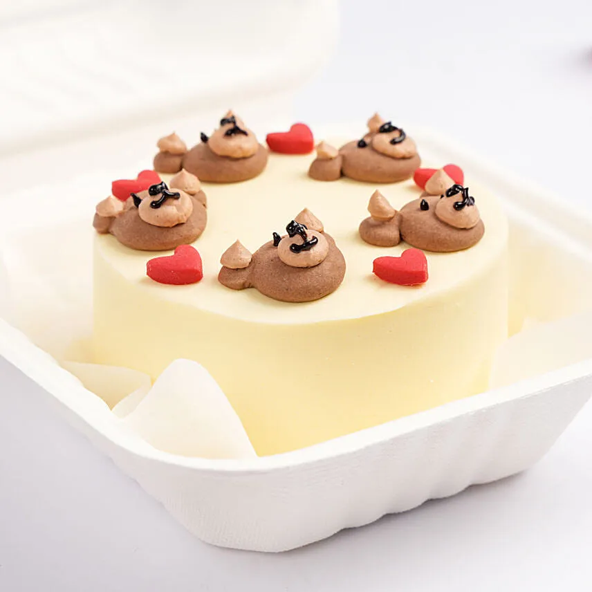 Teddy Bento Cake