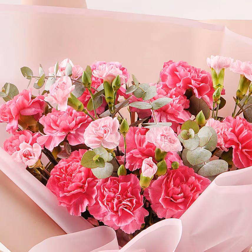 Birthday Wishes Carnations Hand Bouquet