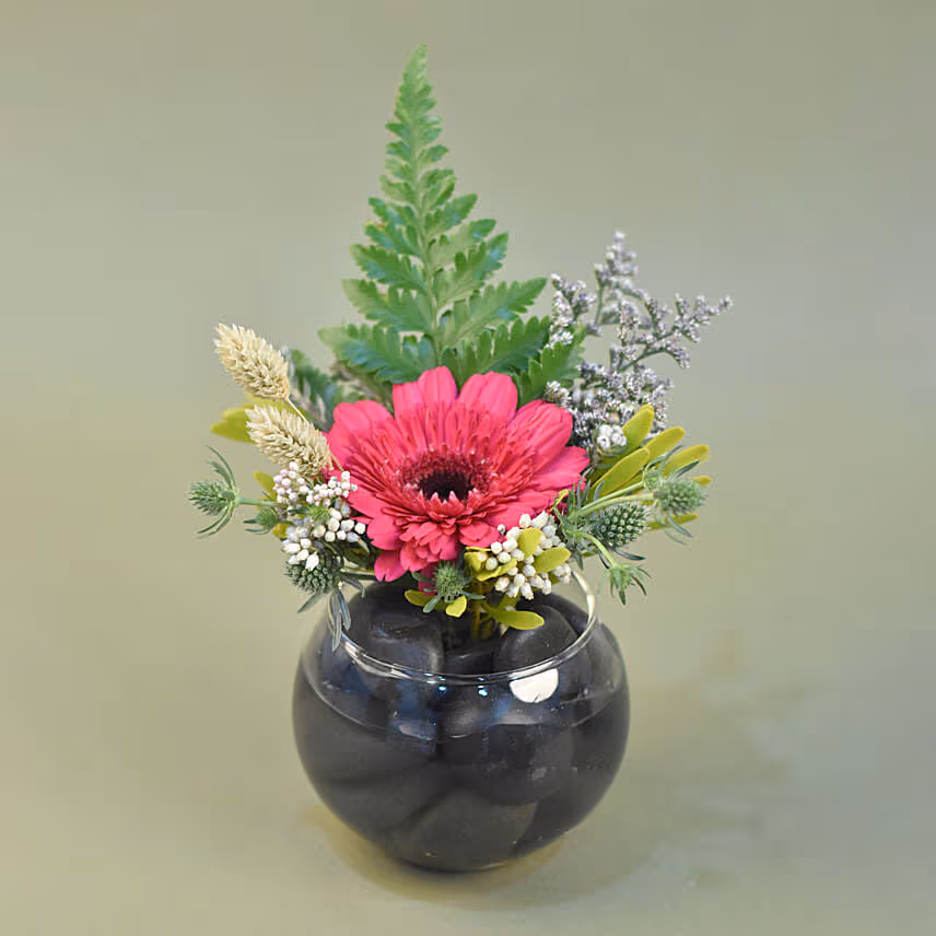 Gerberas Fish Bowl Vase Trio
