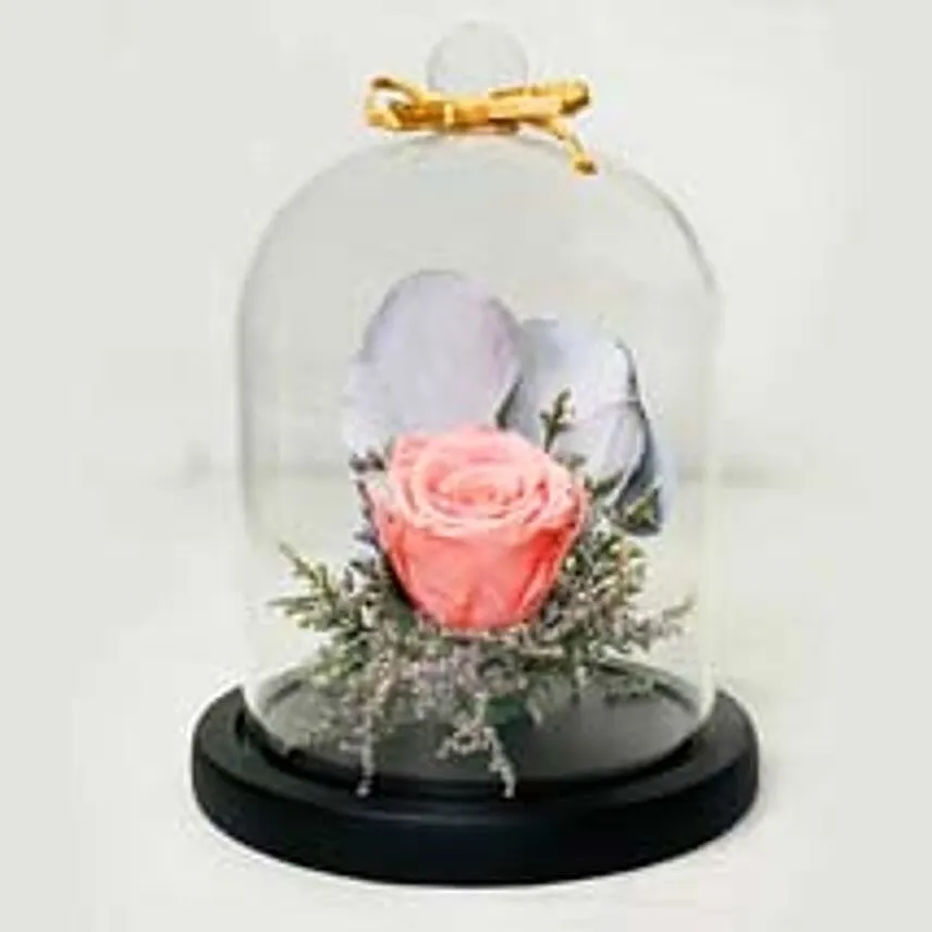 Beautiful Single Pink Forever Rose In Glass Dome