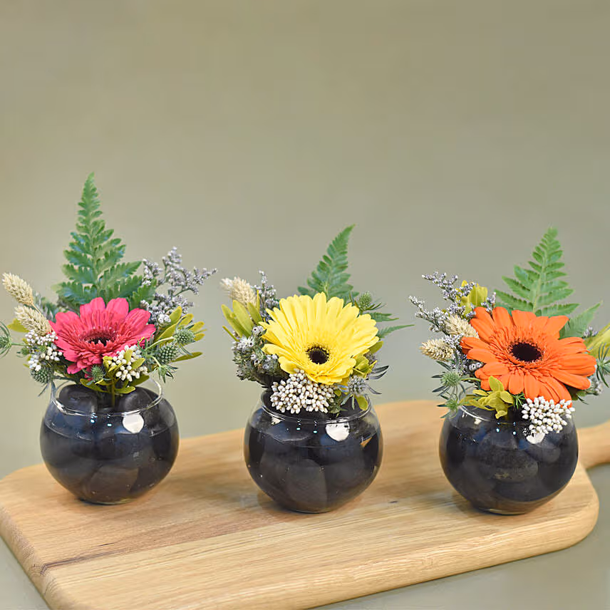 Gerberas Fish Bowl Vase Trio