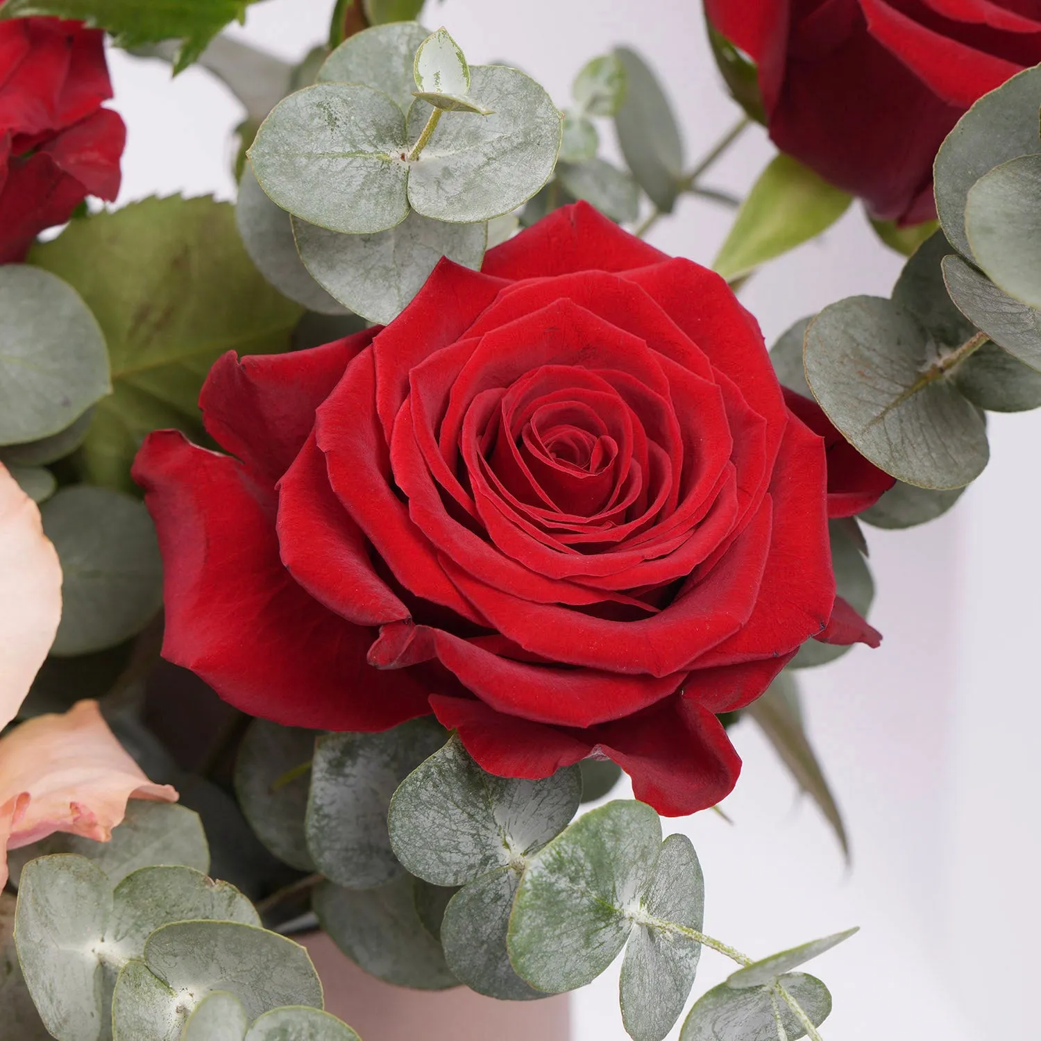 Exquisite Blend of Red and Peach Roses in a Luxury Box