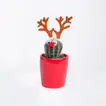 Festive Xmas Cactus with Reindeer Antlers in Red Pot