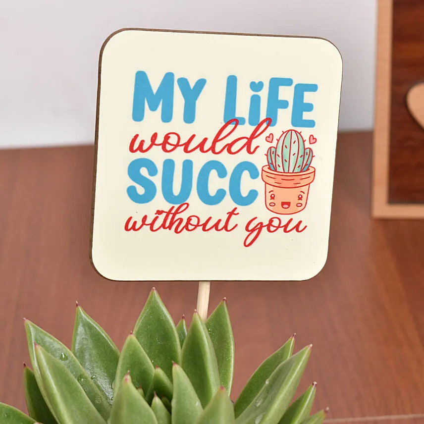 Friends For Life Plant and Coaster