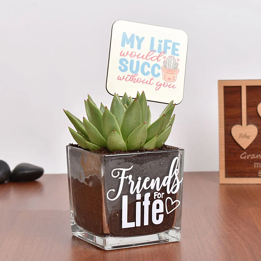 Friends For Life Plant and Coaster