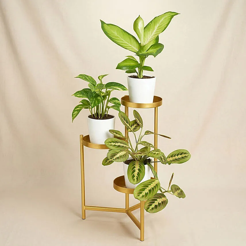 Reduce Noise And Air Pollution Plant Stand