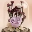Nostalgia | Purple Forever Roses