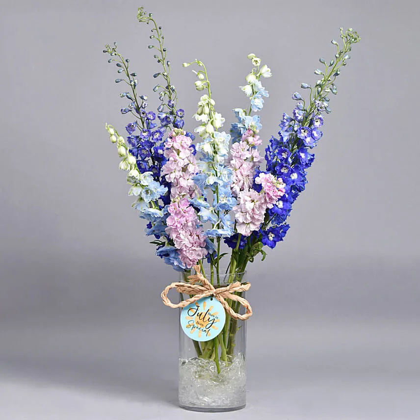 July Birthday Special Delpheniums