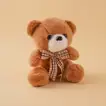 Happiness Box | Rose, Chocolates n Balloons - With Small Teddy