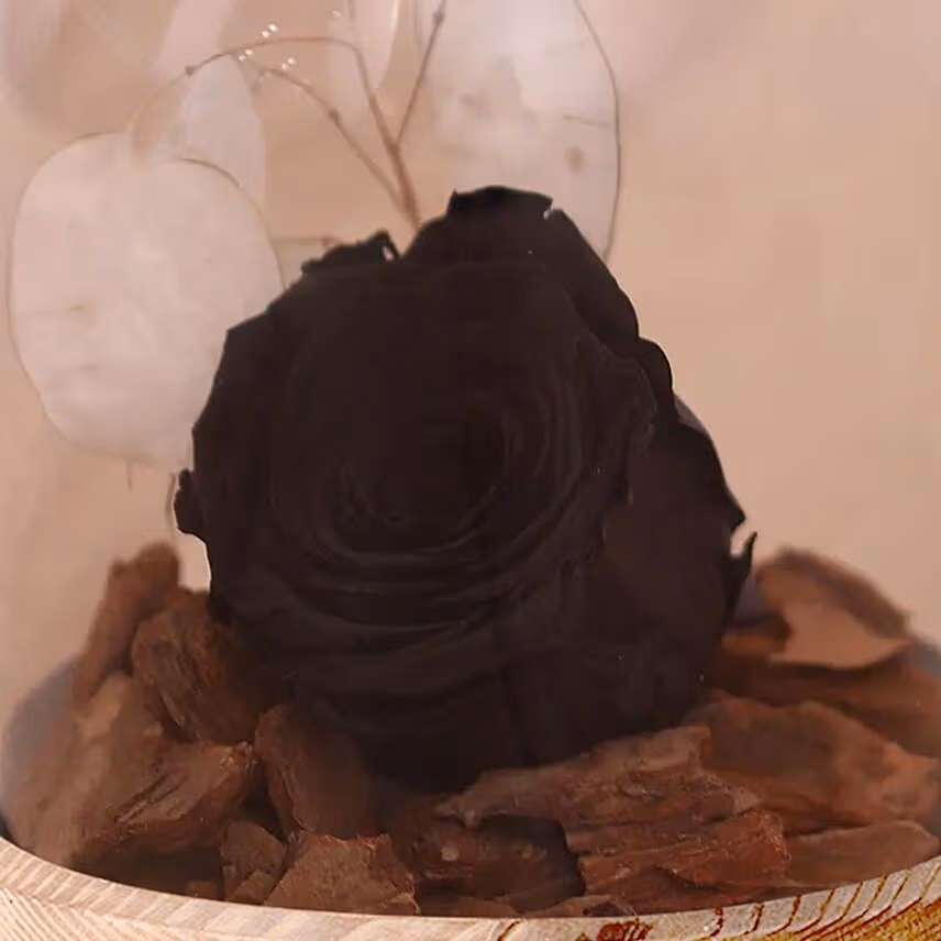 Chocolate Cake & Forever Rose In Glass Dome- Black