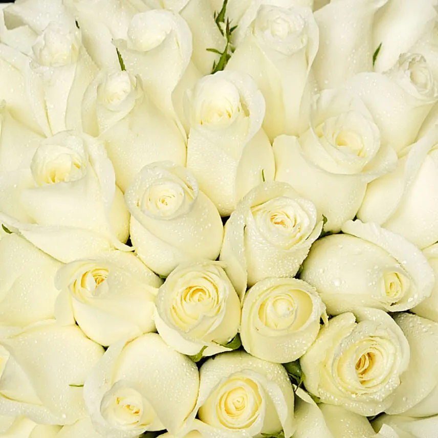 50 White Roses Beauty Bouquet