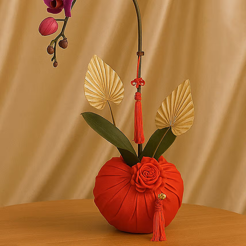 Phalaneopsis Plant For CNY