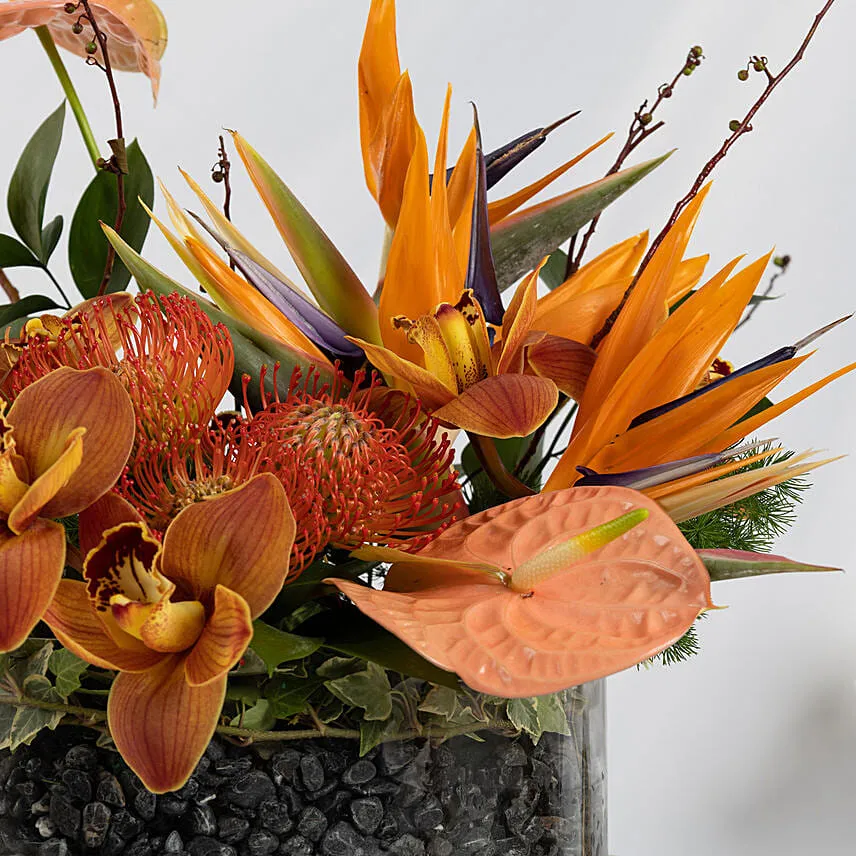 Burst of Flowers Beauty