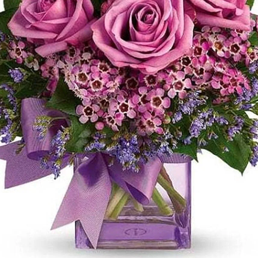 Purple Morning Melody