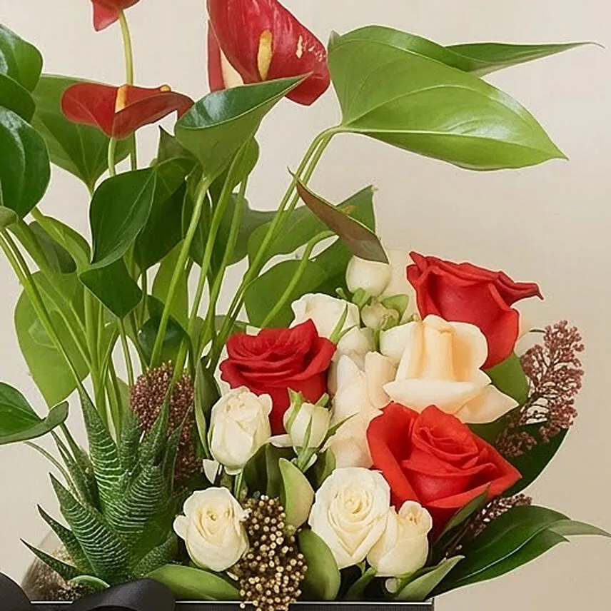 Flowers and Plants Box