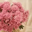 مزهرية ورد اقحوان راقية