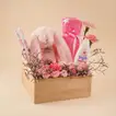 Newborn Girl Gift Hamper | Petal Dreams