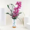 Orchid Vase With Chocolate Cake Combo